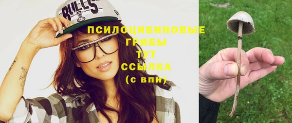 ГАЛЛЮЦИНОГЕННЫЕ ГРИБЫ Алексеевка