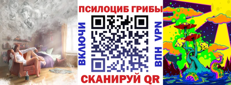 Галлюциногенные грибы Psilocybe  Верхоянск 